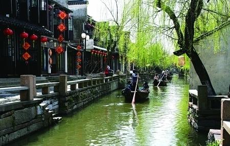 爱吃叶子的毛毛虫
